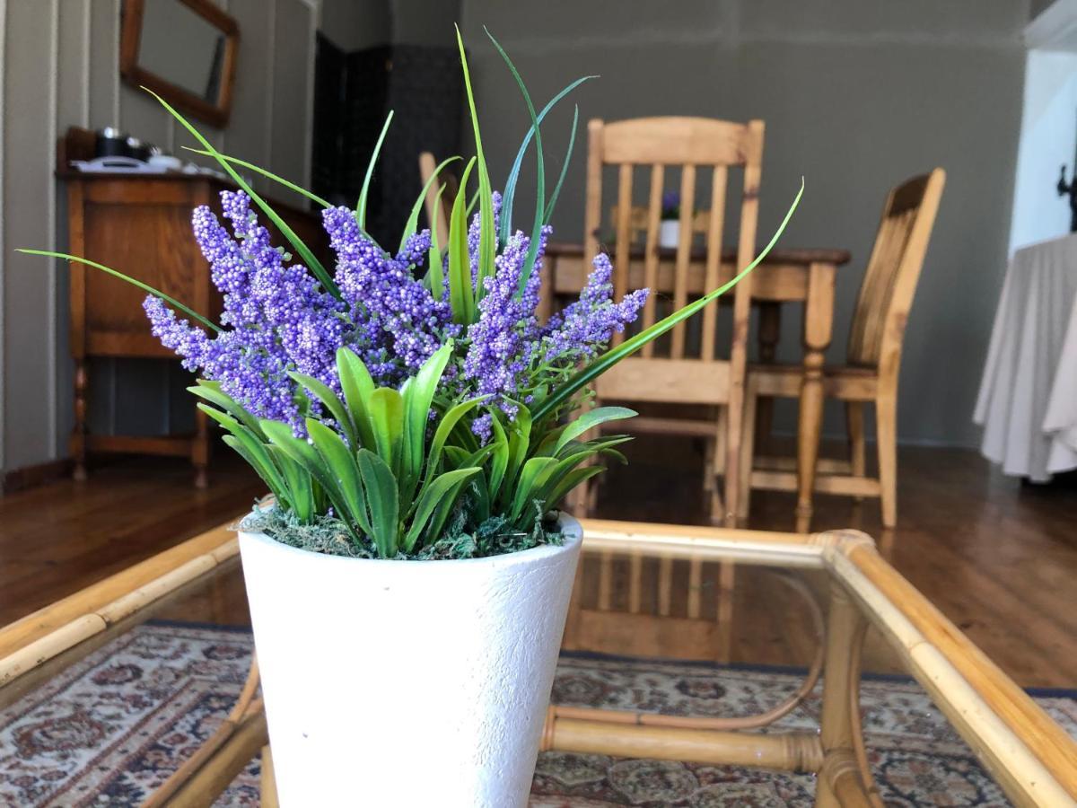 The Lavender Guesthouse Kroonstad Kültér fotó